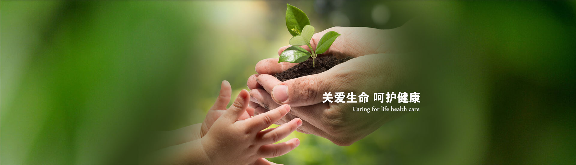 濟(jì)寧市洪圣機(jī)械科技有限公司